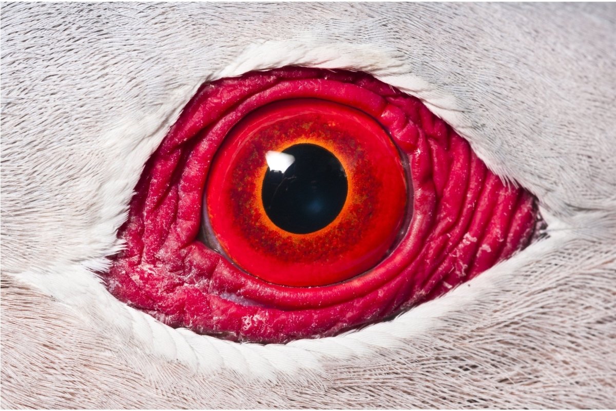 MOVIE HOUSE - States Gallery