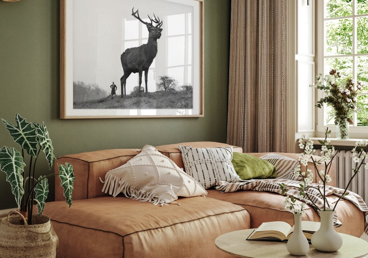 5 Tips for Building a Successful Art Collection - States Gallery