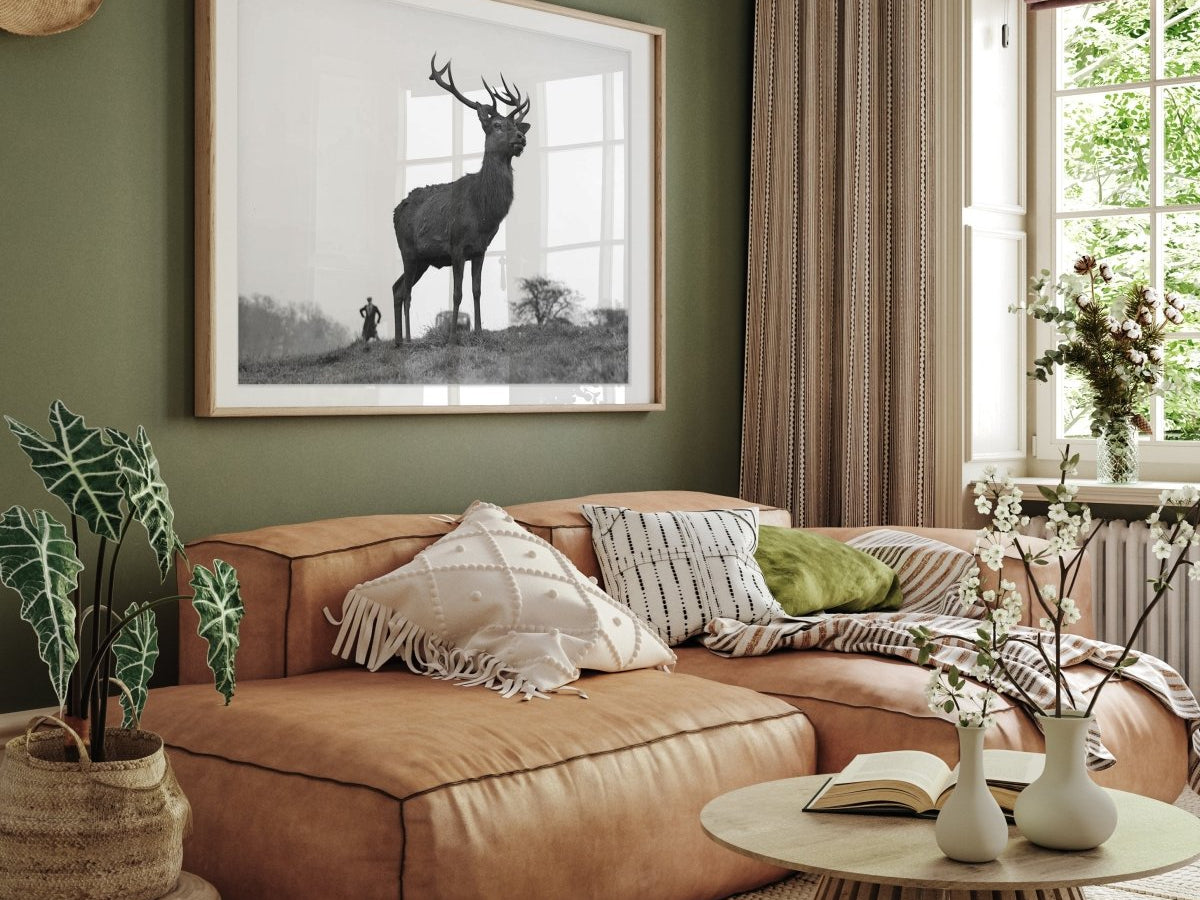 5 Tips for Building a Successful Art Collection - States Gallery