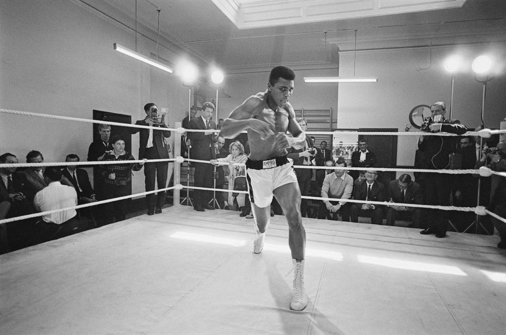 ALI - States Gallery