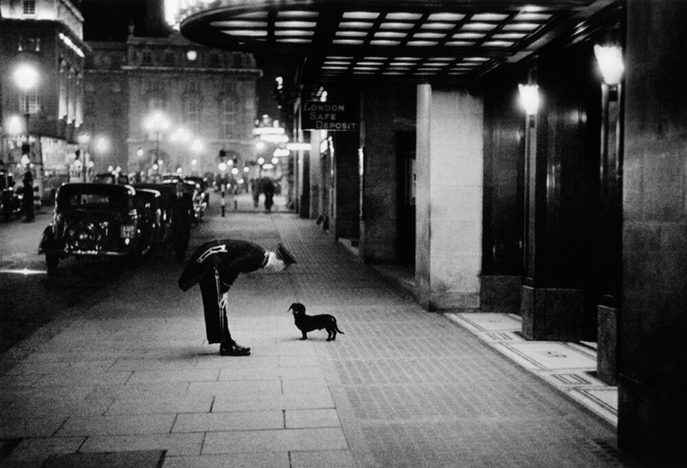 COMMISSIONAIRE'S DOG - States Gallery