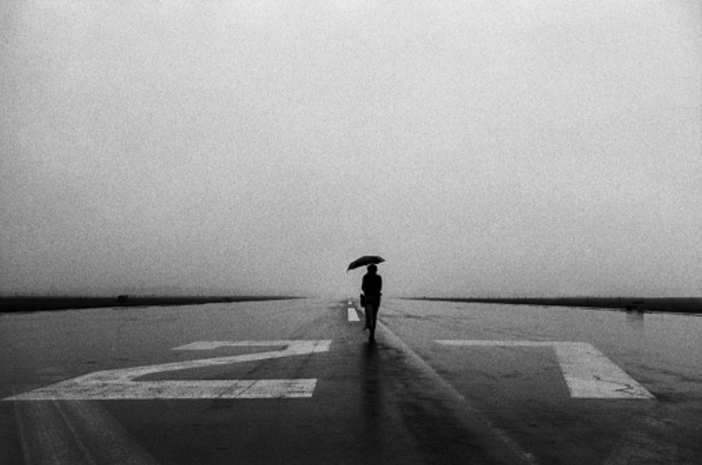 UMBRELLA - States Gallery