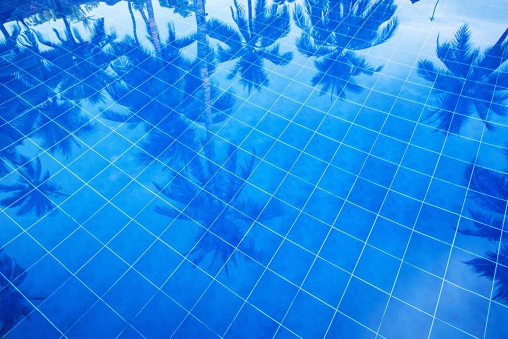 REFLECTION - States Gallery