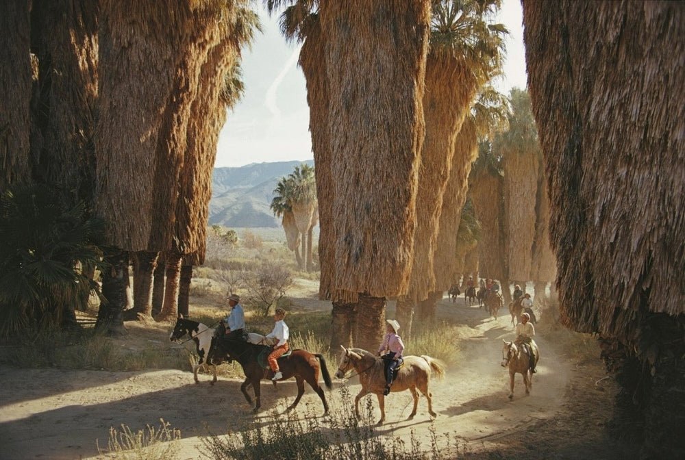 EARLY RIDERS - States Gallery